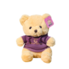 PELUCHE TEDDY CON POLERON X1 UNID