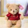 PELUCHE TEDDY CON POLERON X1 UNID