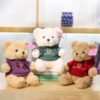 PELUCHE TEDDY CON POLERON X1 UNID