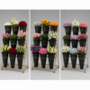 Estante Metálico Exhibidor Para Flores Con Ruedas
